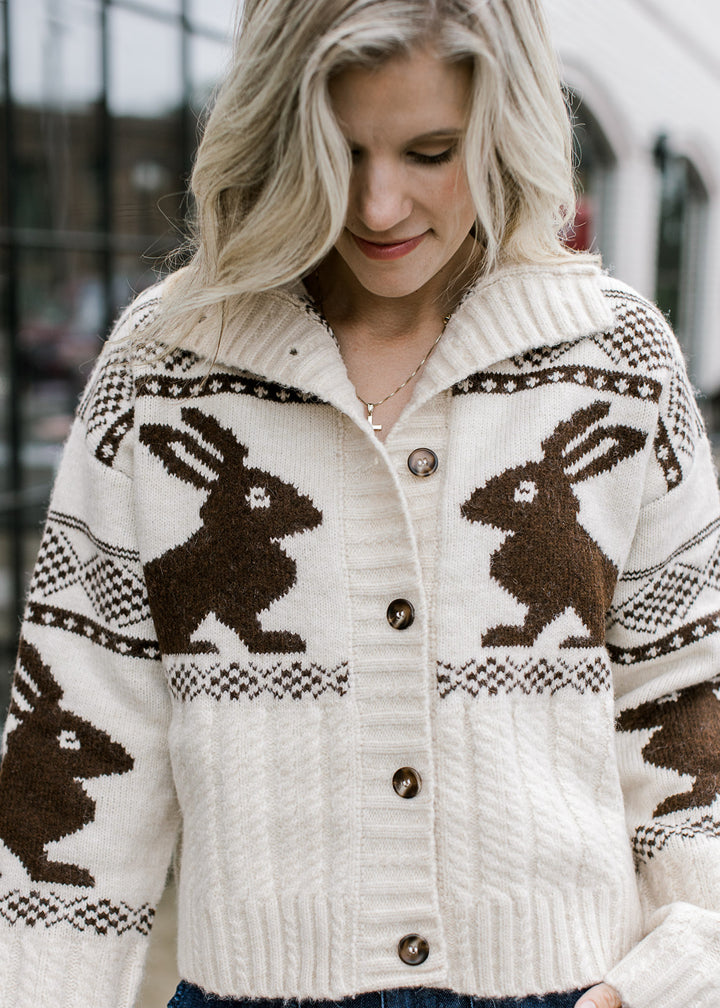 Brown Bunny Sweeter