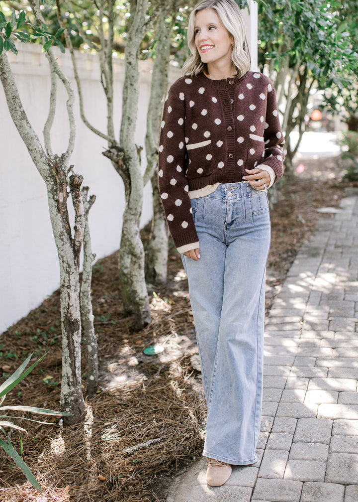 Brown Polka Dot Sweater