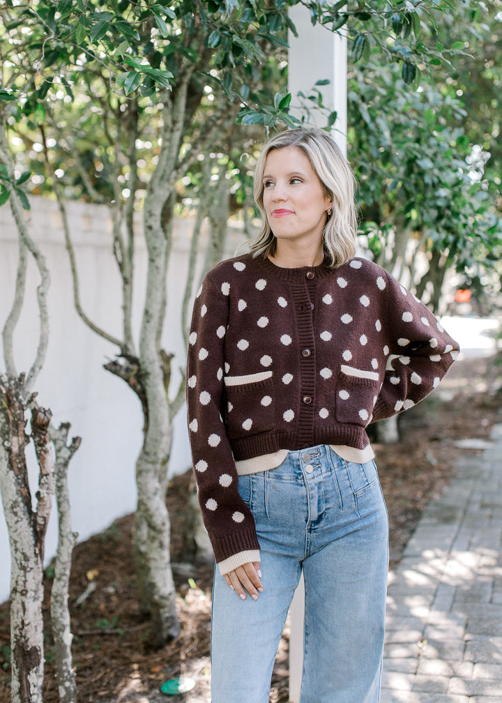 Brown Polka Dot Sweater