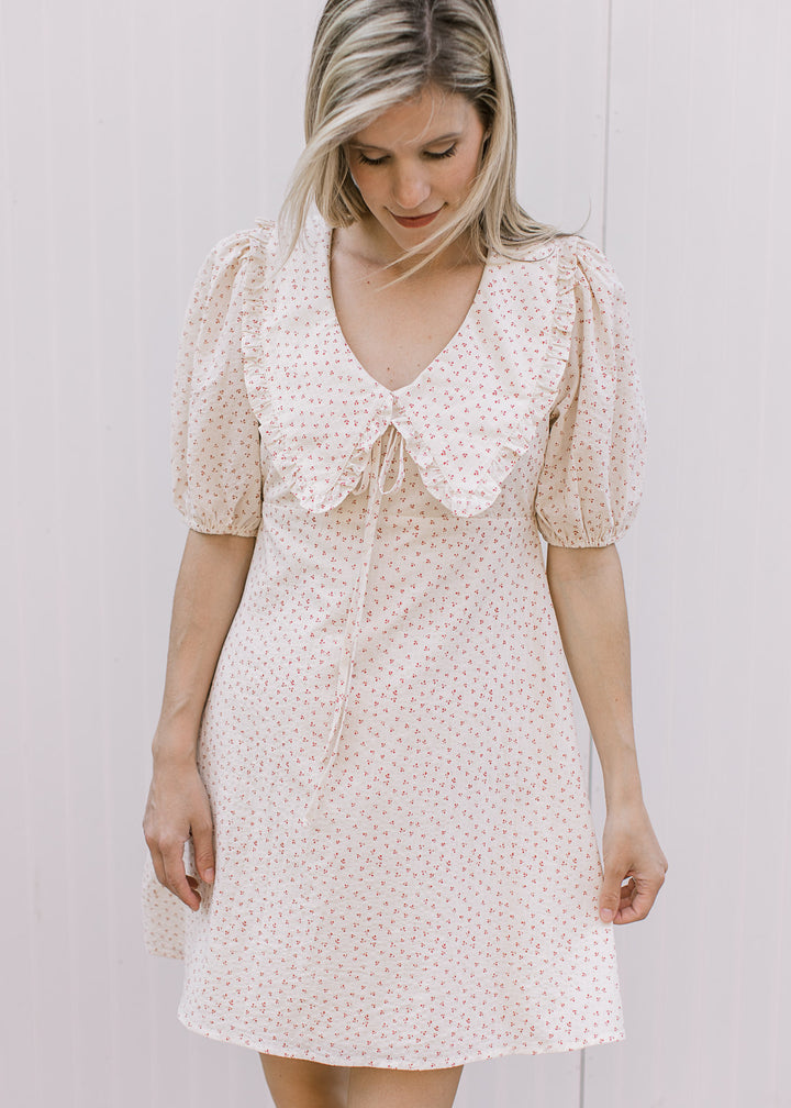 Model wearing a cream above the knee dress with rose ditsy floral and exaggerated flap collar. 