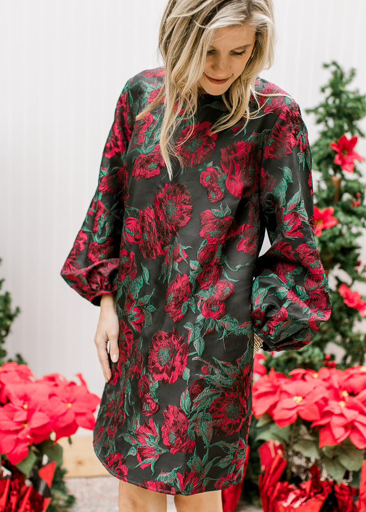 Roses are Red Brocade Dress