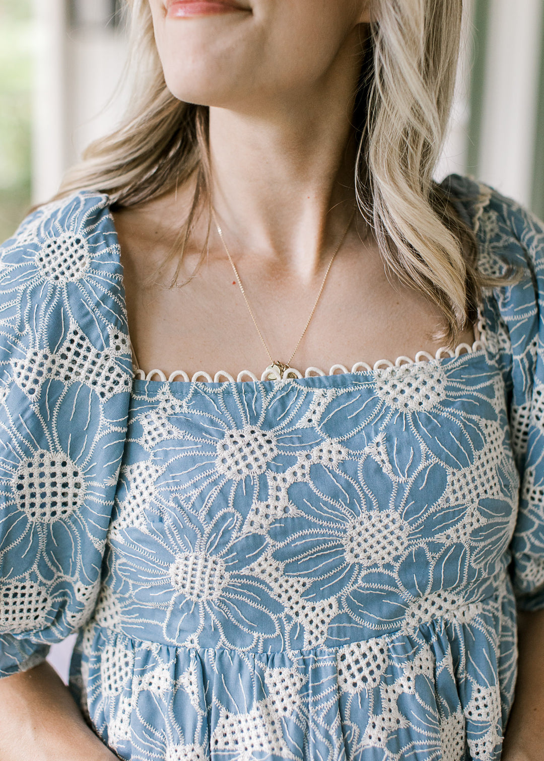 Vintage Blue Embroidered Dress