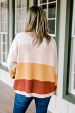 Back view of Blonde model wearing a color block sweater. 