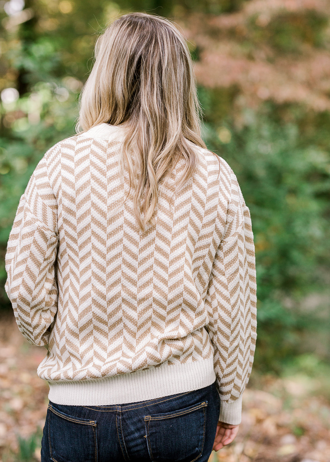 Back view of Blonde model wearing a taupe and cream zig zag sweater. 